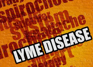 Fenomen Boreliozy. Część 1.