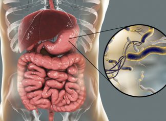 Skromny Helicobacter pylori?